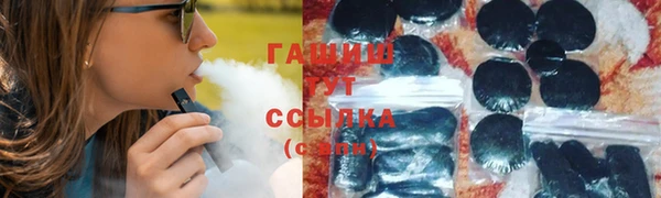 мдпв Богородицк