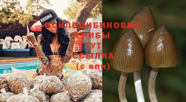 каннабис Богданович