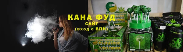 мдпв Богородицк
