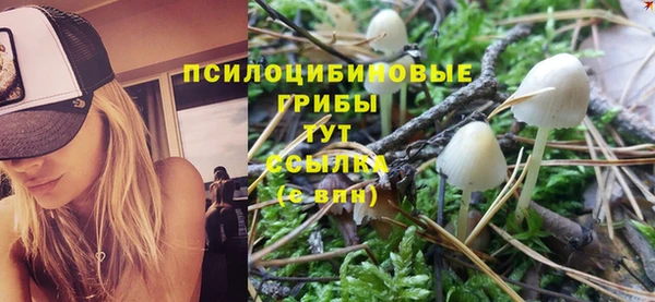 мдпв Богородицк