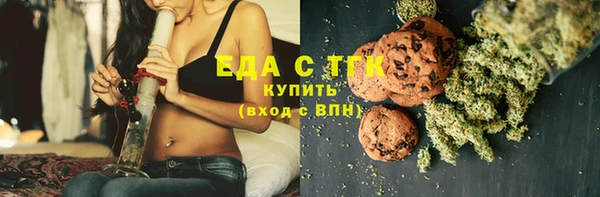 мдпв Богородицк
