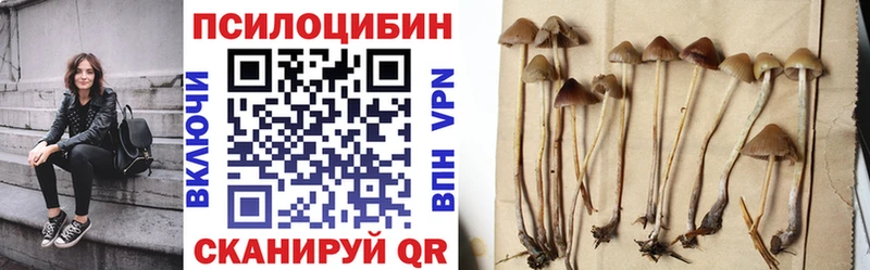 Купить  Сланцы  Галлюциногенные грибы ЛСД 